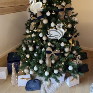 Promoties Feestdagen 2025